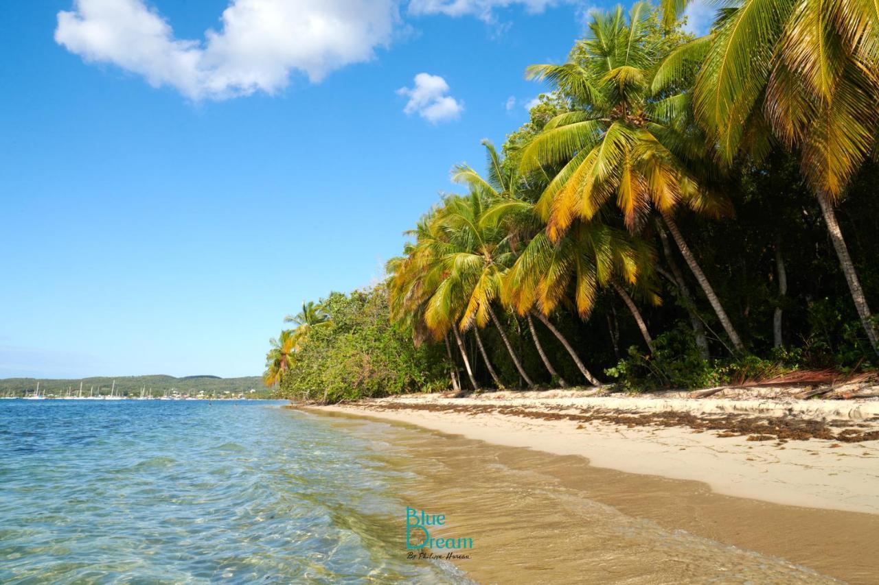 Residence Kawann Plage & Piscine - Hamaca 102 Folle Anse Exterior photo